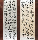 鷨Ʒ46